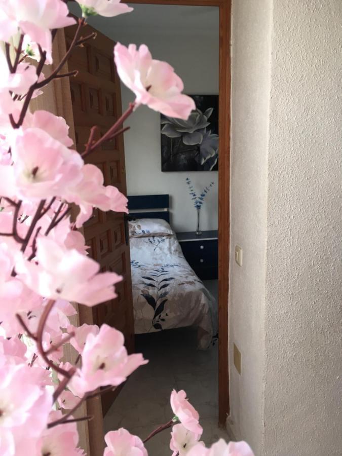 Casa Phoenix Bed & Breakfast Bed & Breakfast La Mariña Dış mekan fotoğraf