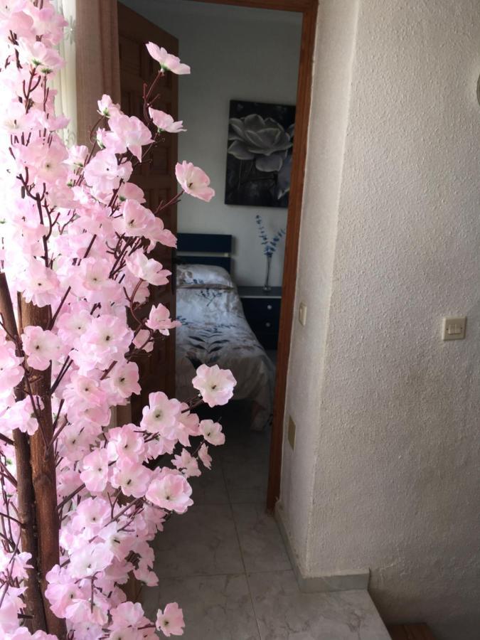 Casa Phoenix Bed & Breakfast Bed & Breakfast La Mariña Dış mekan fotoğraf