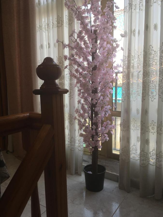 Casa Phoenix Bed & Breakfast Bed & Breakfast La Mariña Dış mekan fotoğraf